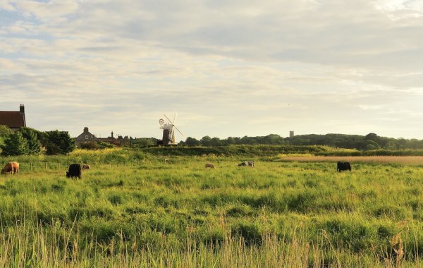 East Anglia wine region